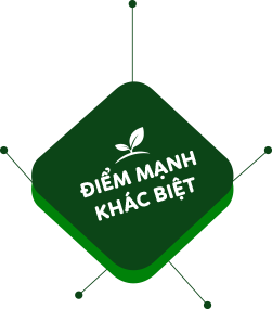 Điểm mạnh khác biệt